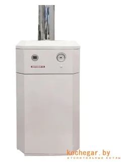 Газовый котёл Житомир-10 КС-Г-030СН