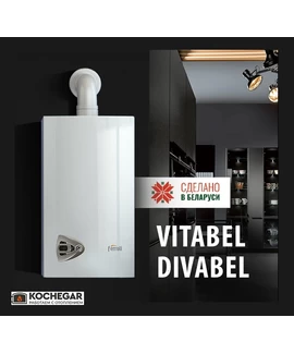 Котел газовый Ferroli Vitabel C24 min
