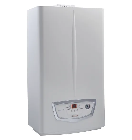 Газовый котёл Immergas EOLO Mythos X 24 5R одноконтурный