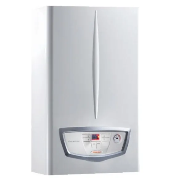 Газовый котёл Immergas NIKE Mythos 24 3R двухконтурный