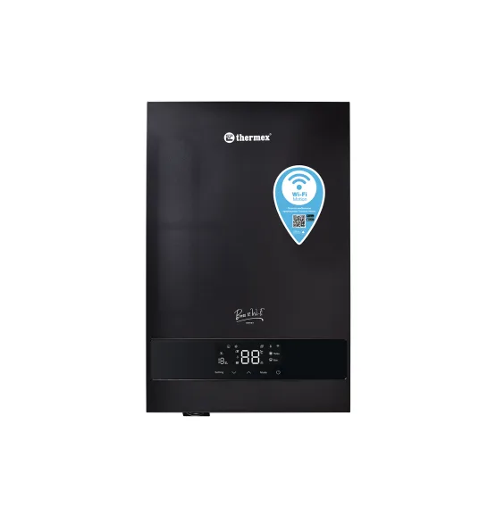 Электрический котёл Thermex Boss 12 Wi-Fi (Black)