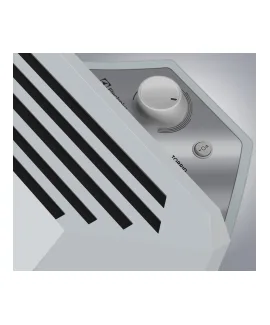 elektricheskij-konvektor-electrolux-ech-ecn-1000-m-2.webp