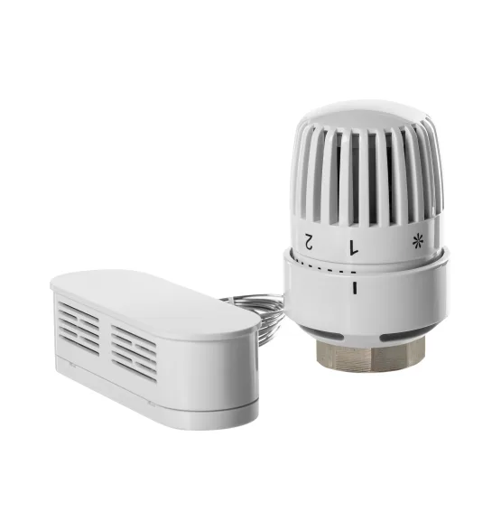 Термоголовка жидкостная Royal Thermo BASIC с выносным датчиком М30х1,5