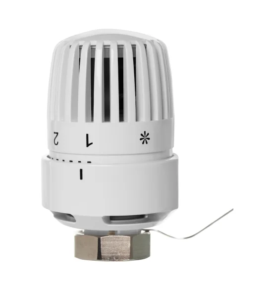 Термоголовка жидкостная Royal Thermo BASIC с выносным датчиком М30х1,5 — фото 2