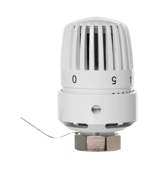 Термоголовка жидкостная Royal Thermo BASIC с выносным датчиком М30х1,5 — фото 3
