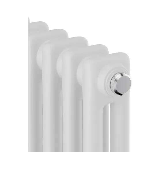 Стальной трубчатый радиатор Royal Thermo Insignia C2180 RAL9016, 10 секций