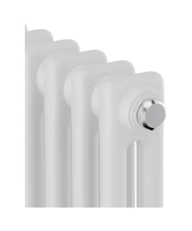 Стальной трубчатый радиатор Royal Thermo Insignia C2180 RAL9016, 10 секций min