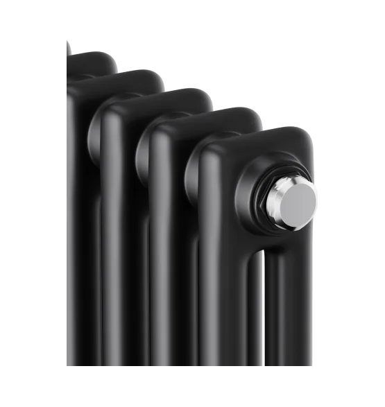 Стальной трубчатый радиатор Royal Thermo Insignia C2180 RAL9005m, 10 секций