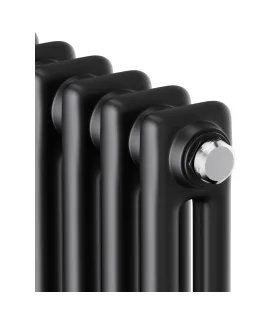 Стальной трубчатый радиатор Royal Thermo Insignia C2180 RAL9005m, 14 секций min
