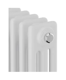 Стальной трубчатый радиатор Royal Thermo Insignia C3050 RAL9016, 10 секций min