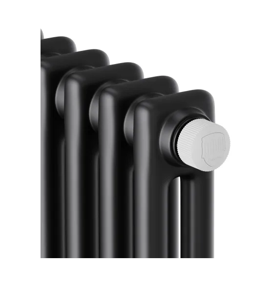 Стальной трубчатый радиатор Royal Thermo Insignia VC2180 RAL9005m, 14 секций