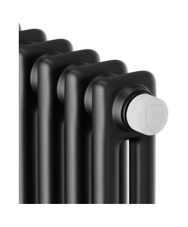 Стальной трубчатый радиатор Royal Thermo Insignia VC2180 RAL9005m, 14 секций min