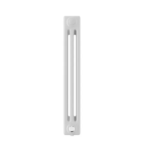 Стальной трубчатый радиатор Royal Thermo Insignia VC3050 RAL9016, 10 секций