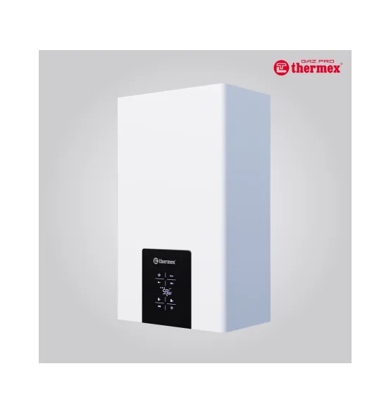 Газовый котёл Thermex Blaze FH32